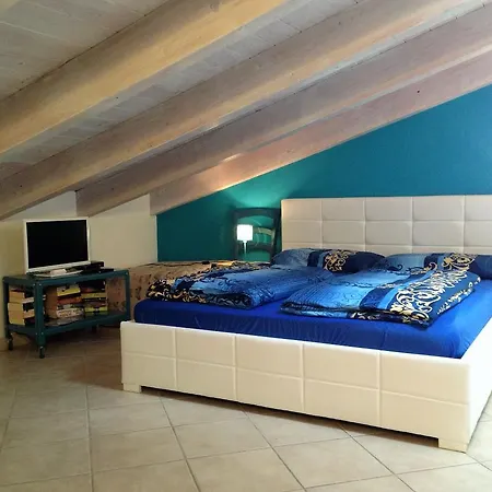 Studio Azzurro L *